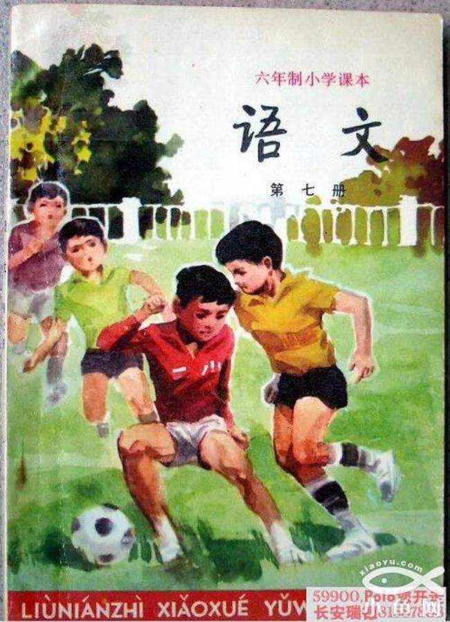 泰安小学课本是什么版本