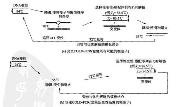 pcr技术中变性阶段断裂什么键