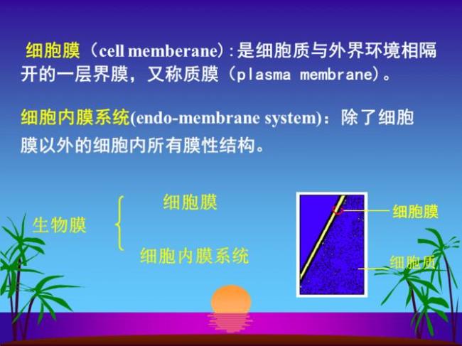 真核微生物的细胞膜上都有甾醇