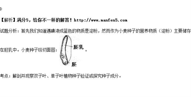 观察种子的结构实验报告