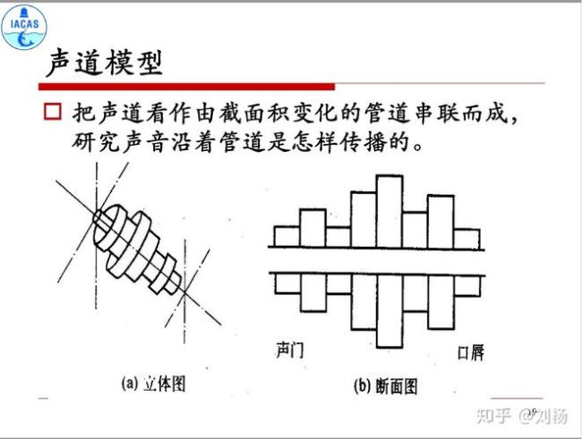 人说话声音粗细为什么是音色