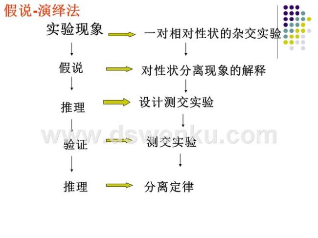 桑代克的三大定律例子