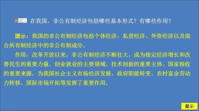 什么是公有制经济人士