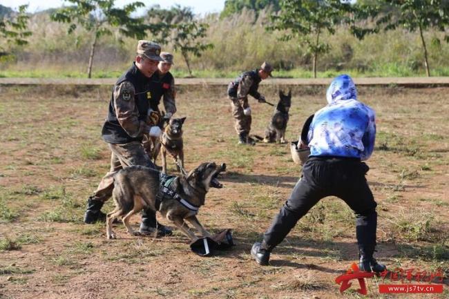 警犬训导员要考什么学校