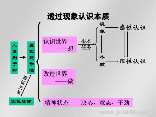 怎样认识学生的本质属性