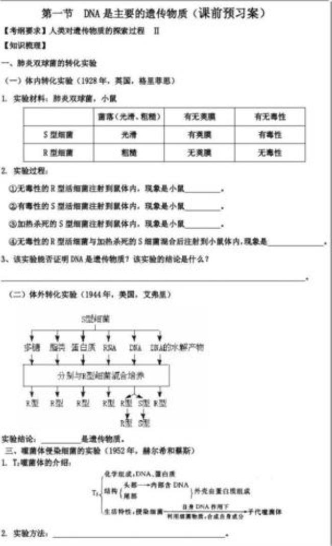 dna理化性质