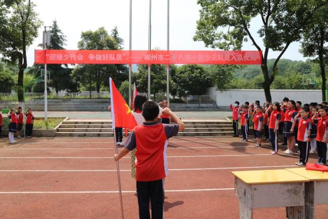 郴州市八完小有多少学生