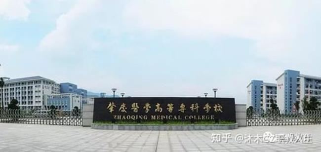 广东药科大学中医学就业前景