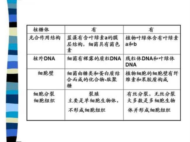 原核细胞和真核细胞有交集吗