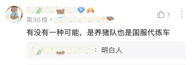 王者荣耀养猪什么意思