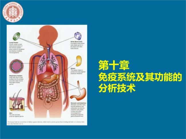 ＞免疫应答的功能可表现为哪些