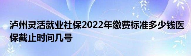 2022年灵活就业医保缴费截止日期