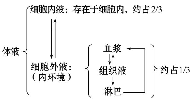 吞噬细胞生活的内环境是什么