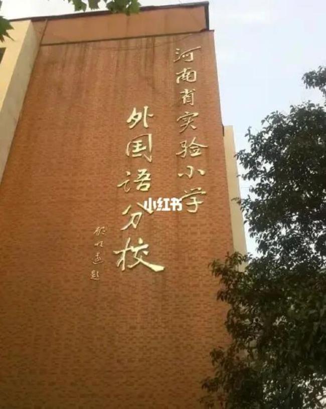 河南省实验小学几个校区