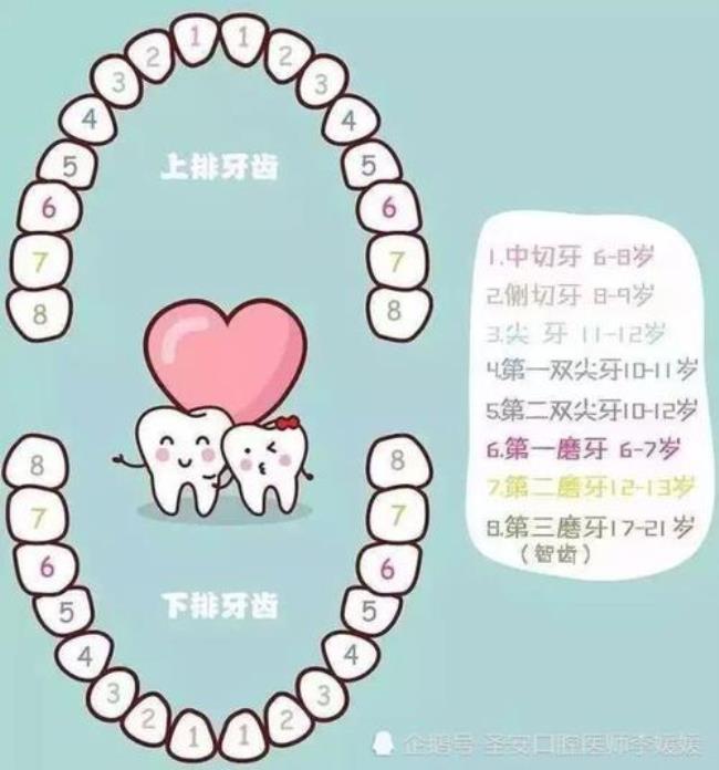 5周岁是长六龄齿吗