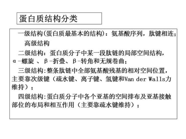 人体蛋白质最基本具有哪条结构