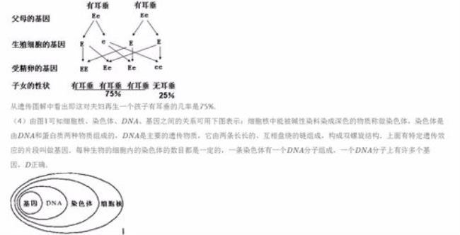 人的配子有多少染色体