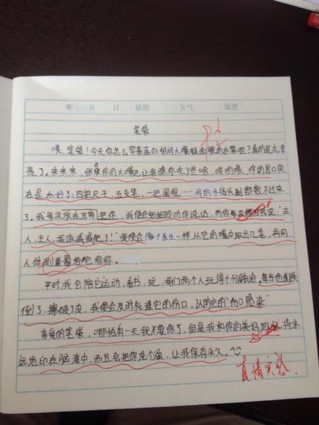 体育老师小练笔120字