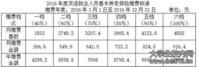 柳州城乡居民养老保险怎么缴费