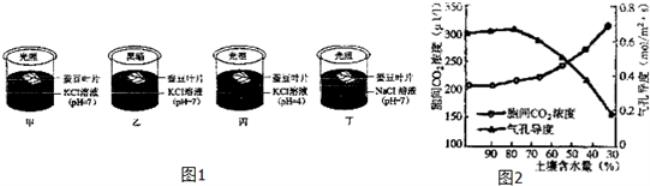 光反应如何进行