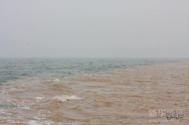 几月看黄河入海河海分界线