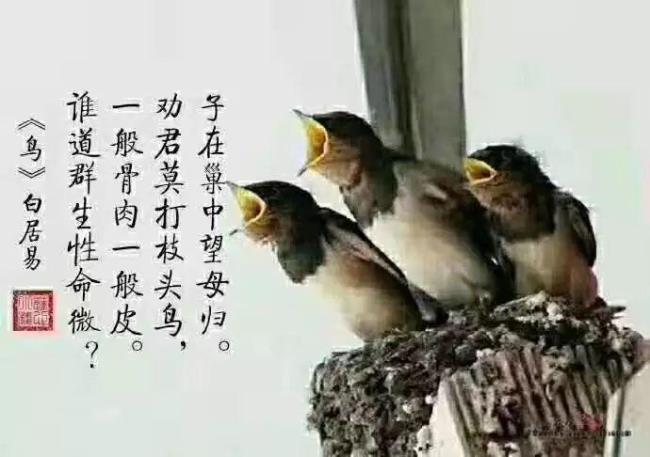 莫钓三月鱼全诗