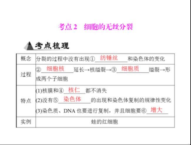 无性生殖可以进行有丝分裂吗