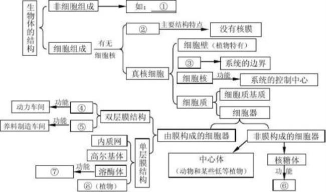 生物归纳法的概念