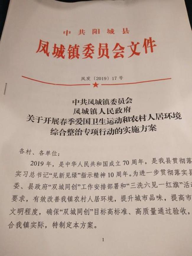 两个专题实施方案包括什么