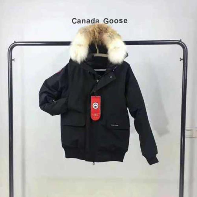 canada goose怎么读