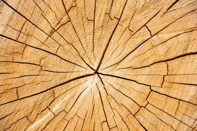木头裂缝怎么修