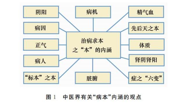 创立辩证论原则的医家是