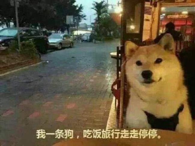 不如什么时候出的