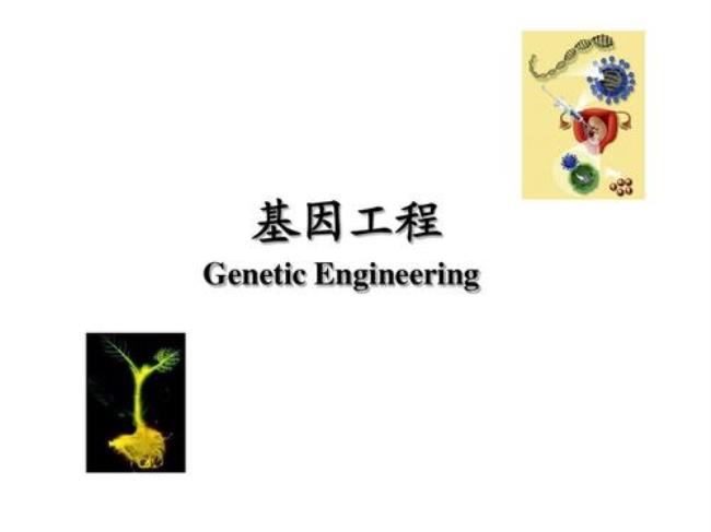 简述两个基因工程的发展历史