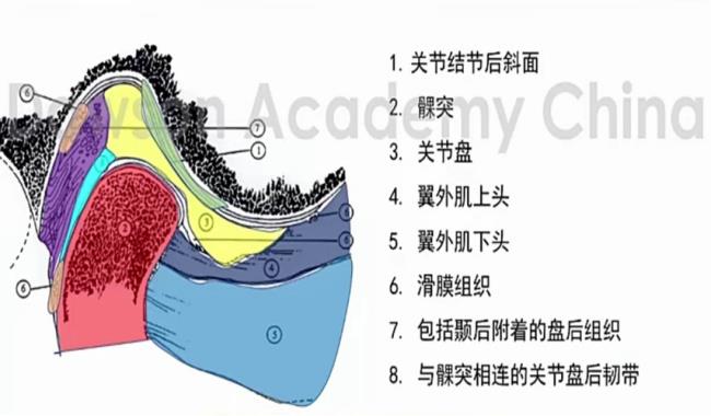 颞念啥音