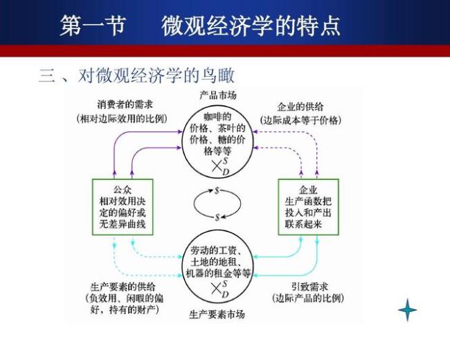 微观经济学的中心理论是什么