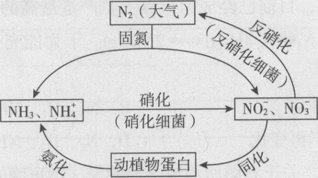 什么是有机反应什么是无机反应