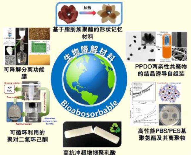 高分子材料研究所有哪些