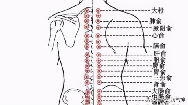 乙肝大三阳艾灸那些穴位