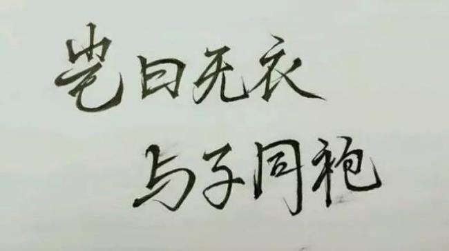 与子同泽王于兴师啥意思