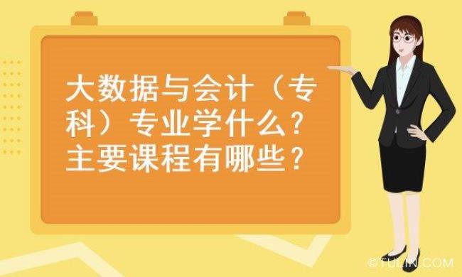 大数据与会计专业课程目录