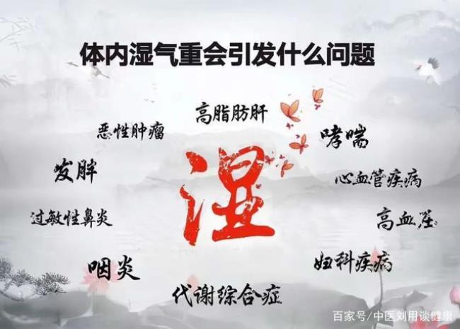 湿热和湿气重是一个意思吗