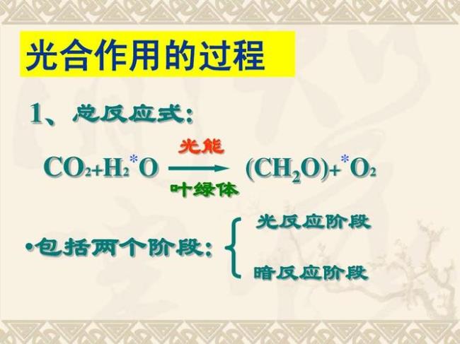 光合作用两个阶段是同时进行吗