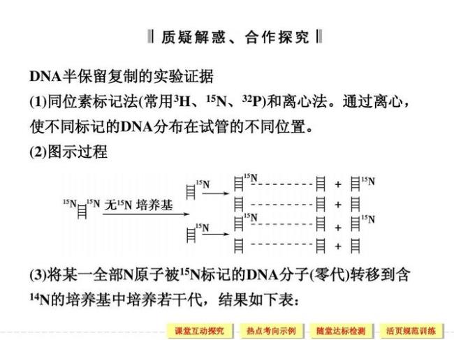 dna半保留复制实验原理设计