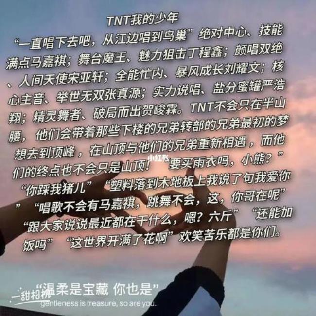 tnt时代少年团和tyt有什么区别