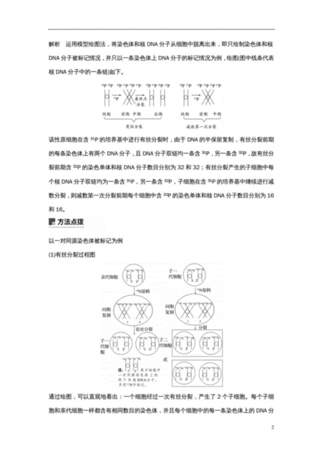 半保留复制的公式