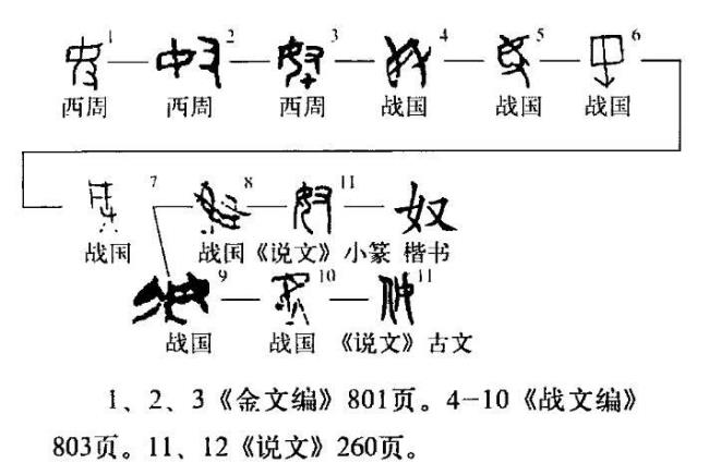 白奴的意思是什么