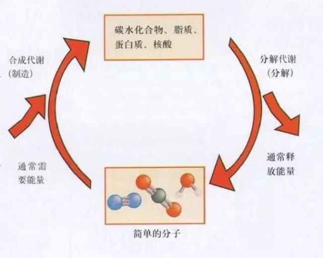 能量是什么意思