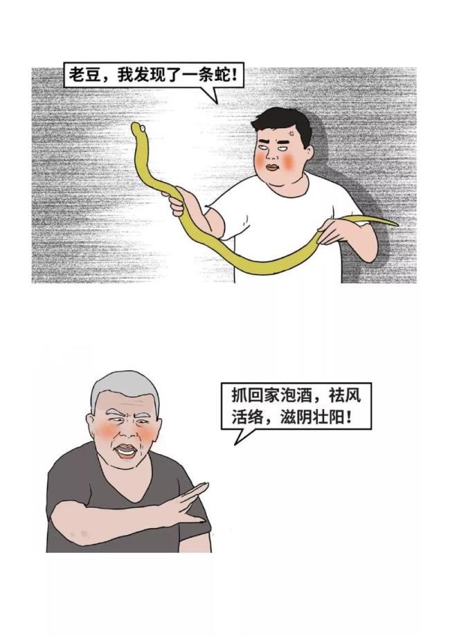 人类迷惑行为什么意思