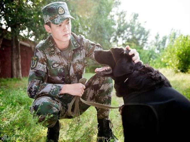 求《神犬奇兵》这类的电视剧